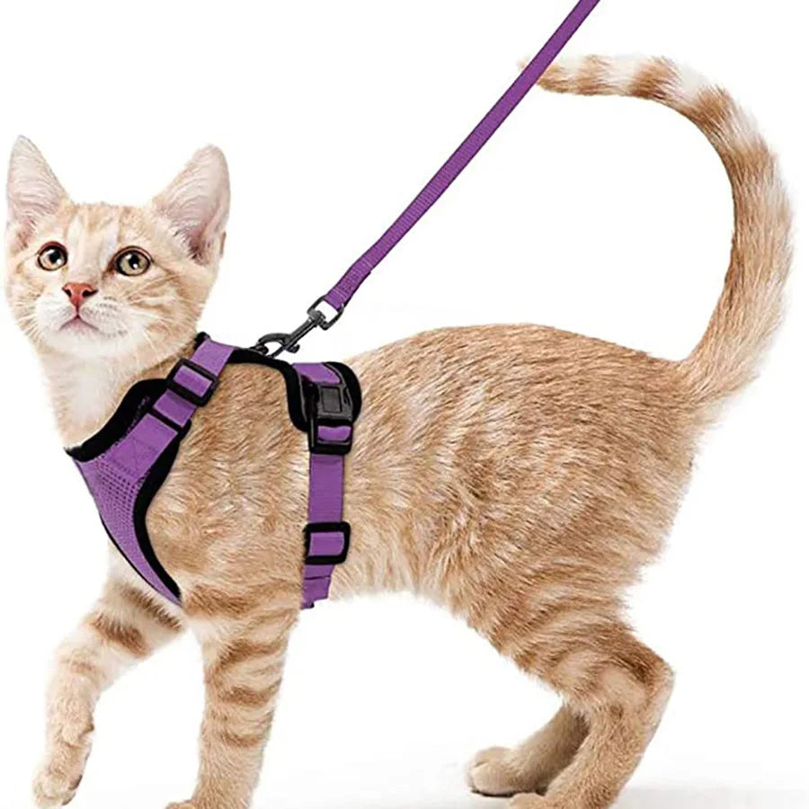 Cat Harness and Leash for Walking, Escape Proof Soft Adjustable Vest Harnesses for Cats, EasyControl Zpaxo PURPLE S