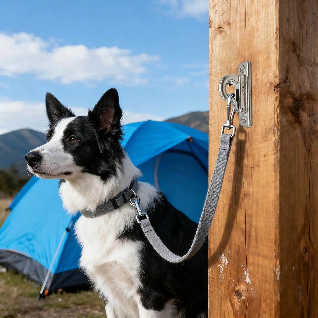 Dog Leashes Holder Heavy Duty Stainless Steel Wall Mount Hook Pet