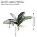 Artificial Phalaenopsis Simulation Moth Orchid Leaf Real-touch Orchid Leaves Flower Plant Home Decoration Landscaping Zpaxo 23cm