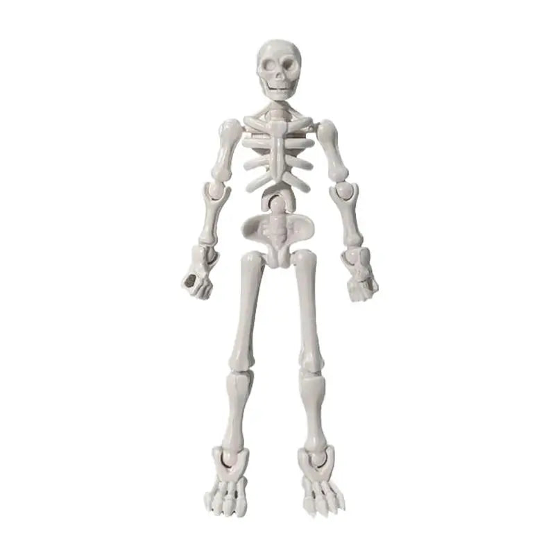 3D DIY Skull Model Assembly Toy – Articulated Mini Skeleton DIY Model Assembly Kit Zpaxo White