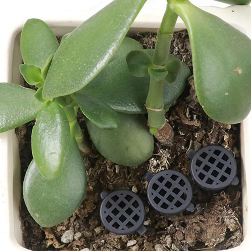 10-Pack Slow Release Bonsai Fertilizer Mesh Baskets & Nursery Pots Fertilizer Mesh Basket Zpaxo