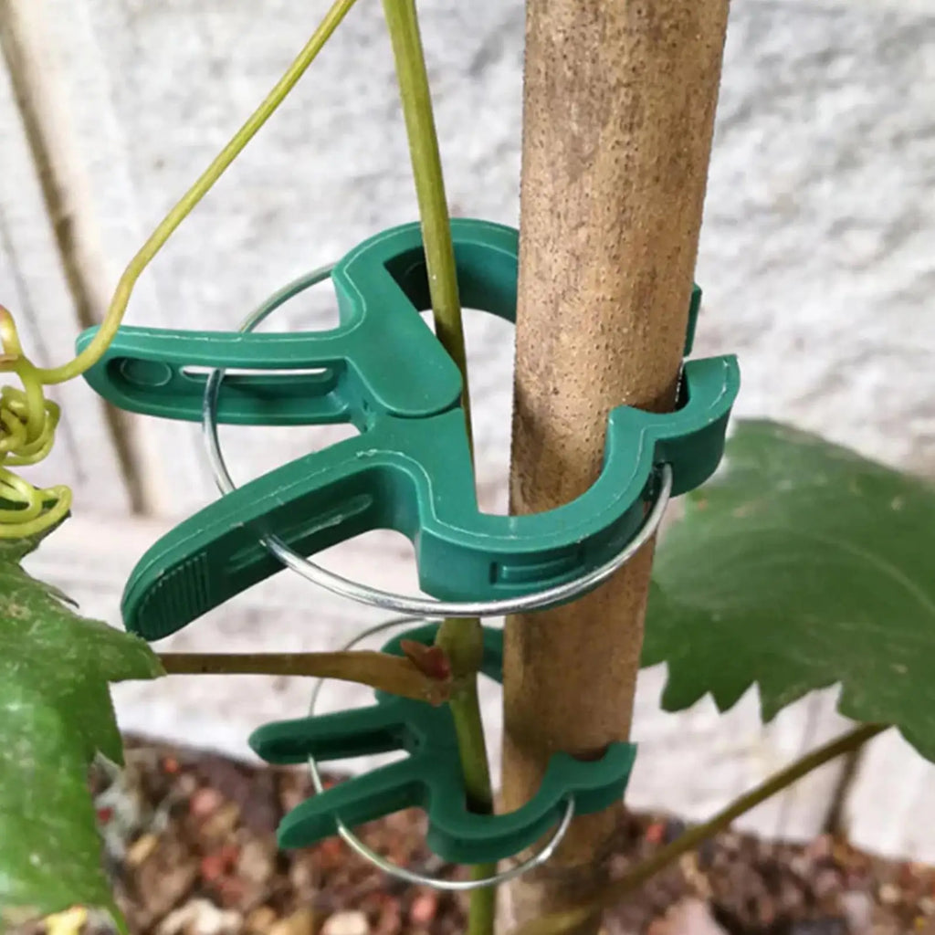20-Pack Reusable Plant Clips – Tomato, Vine & Flower Support Plant Support Clips Zpaxo