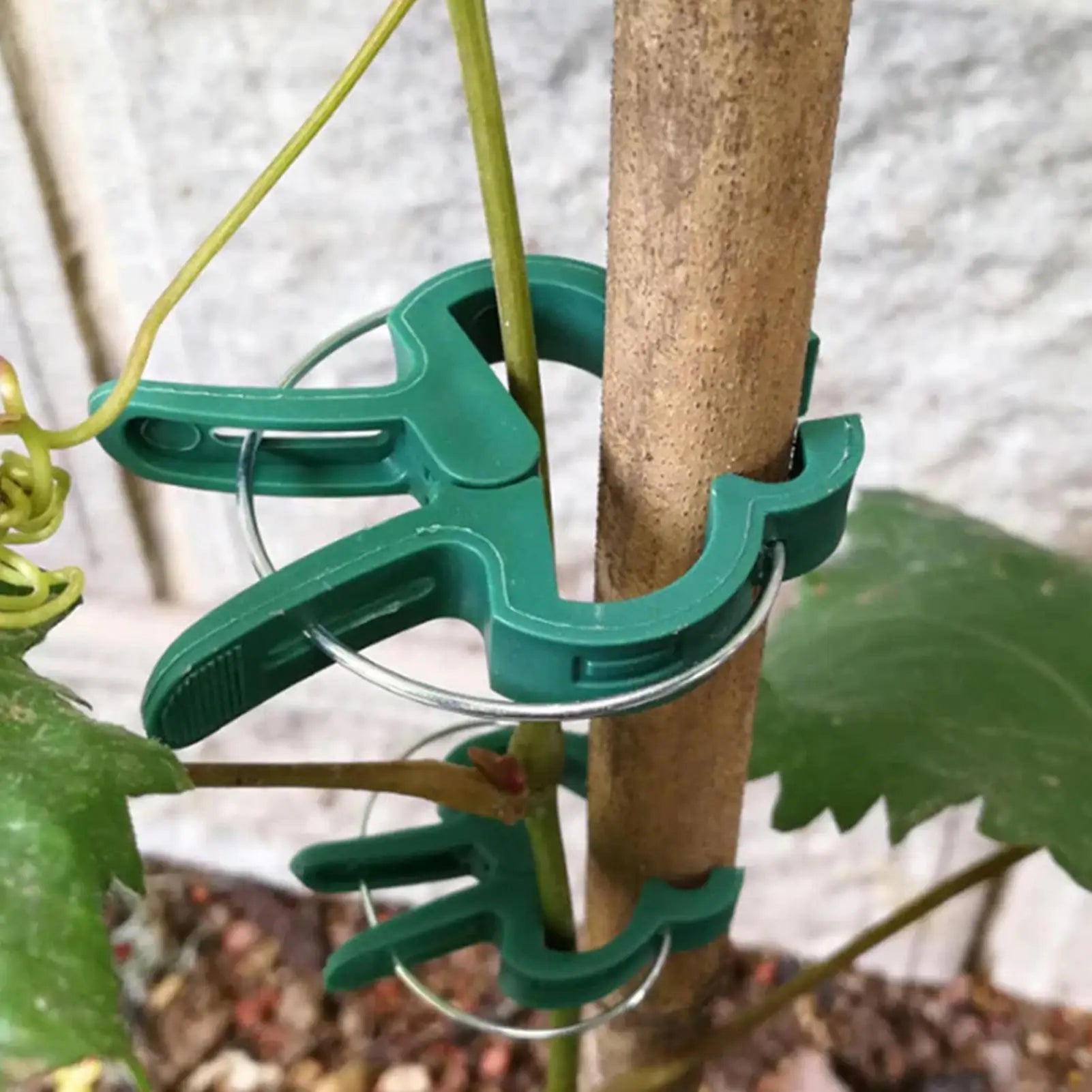 20-Pack Reusable Plant Clips – Tomato, Vine & Flower Support Plant Support Clips Zpaxo