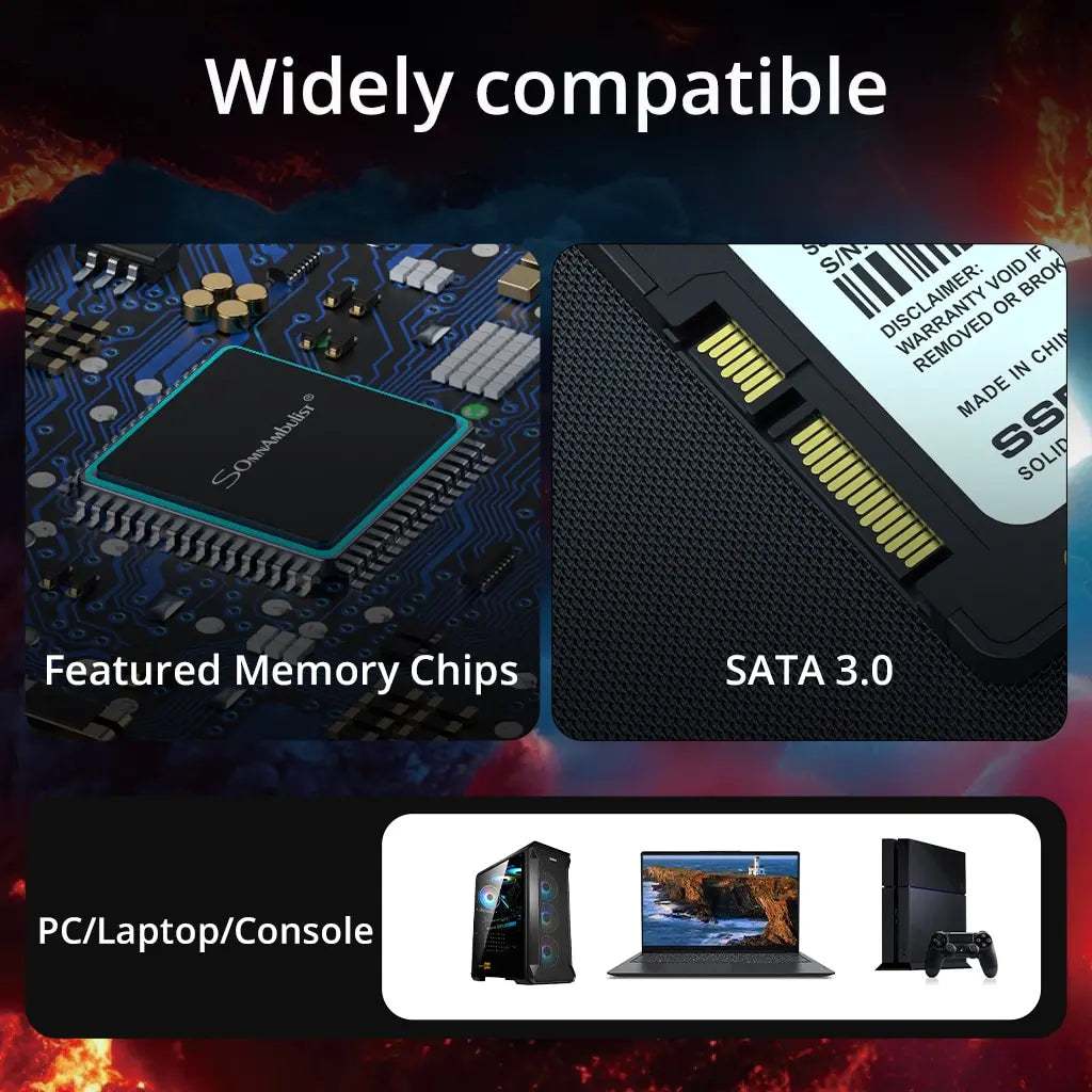 Somnambulist SSD 120GB 240GB 480GB 960GB Internal Sata3 Solid State Zpaxo