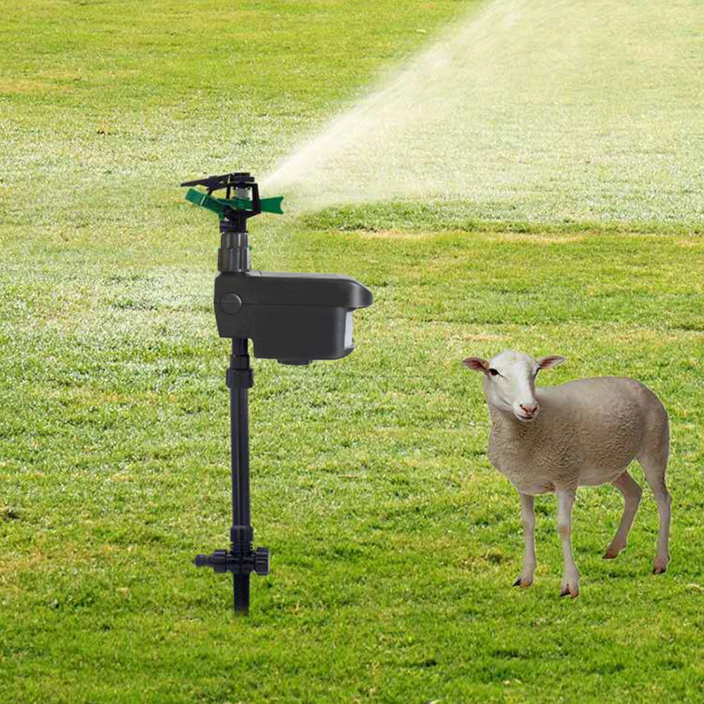 Motion Activated Sprinkler Scaring Away Wild Animals Animal Sensor