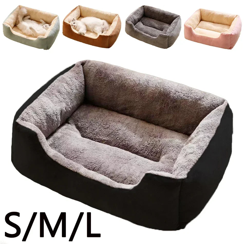 Bed for Cats Pet Products Cushions Kitten Goods Accessories Dog All Houses Supplies Things Accessory Habitats Basket House Beds Zpaxo