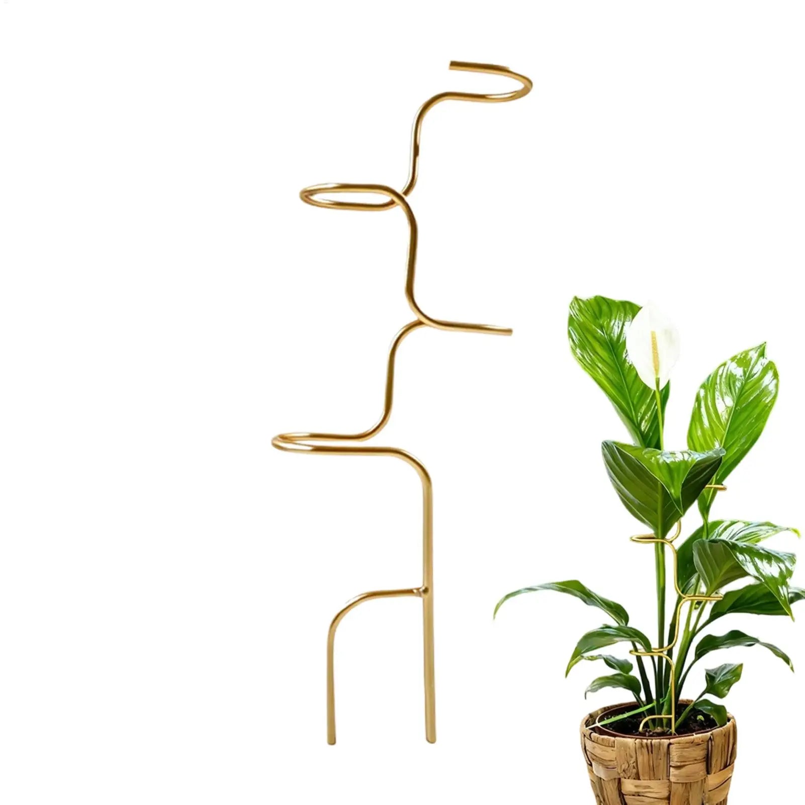 Metal Plant Stakes Monstera Stem Support Garden Stake Rose Fix Holder