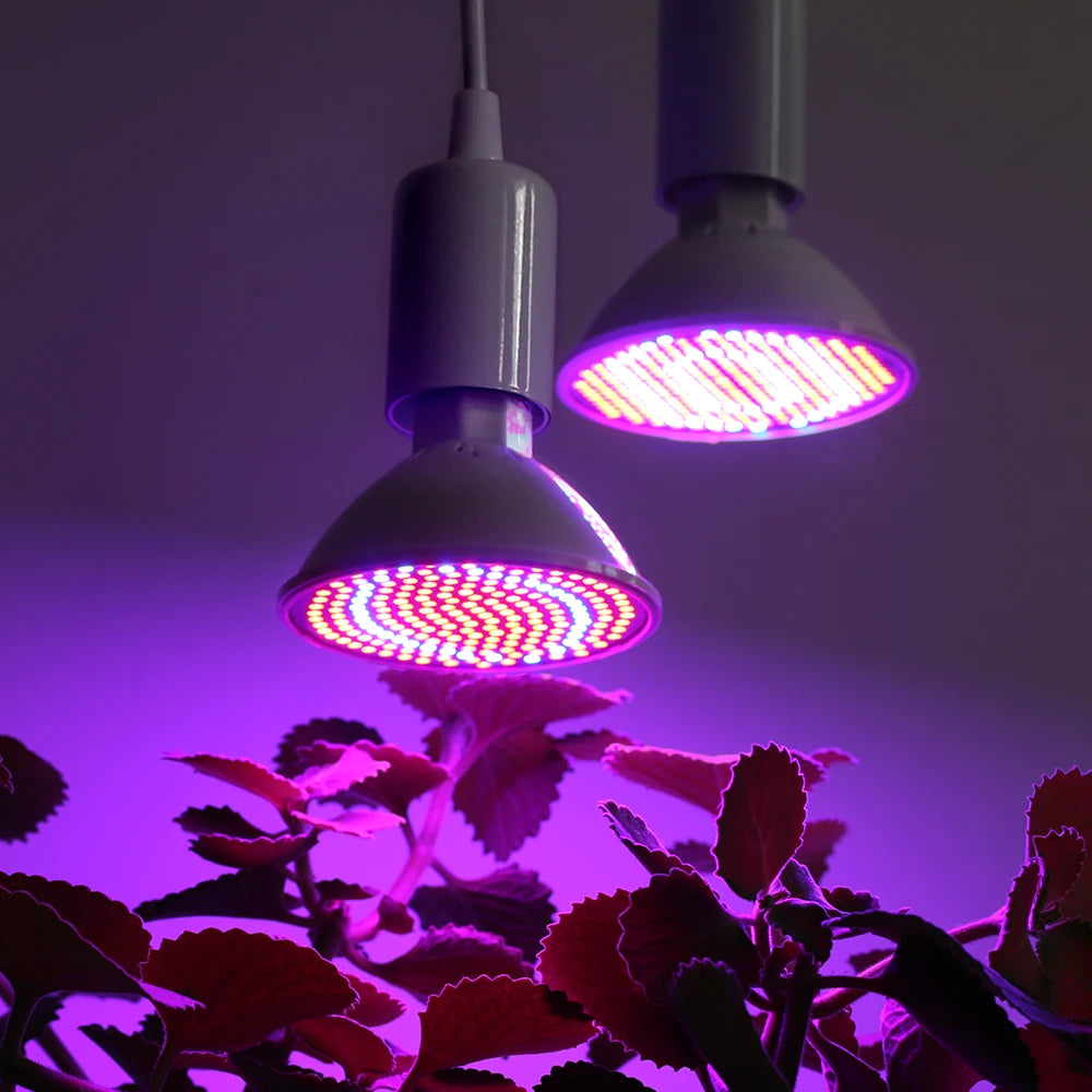 E27 LED Grow Light Bulb Full Spectrum AC85-265V Plant Lamp for Indoor Plants Hydroponics Flower Seedling Zpaxo