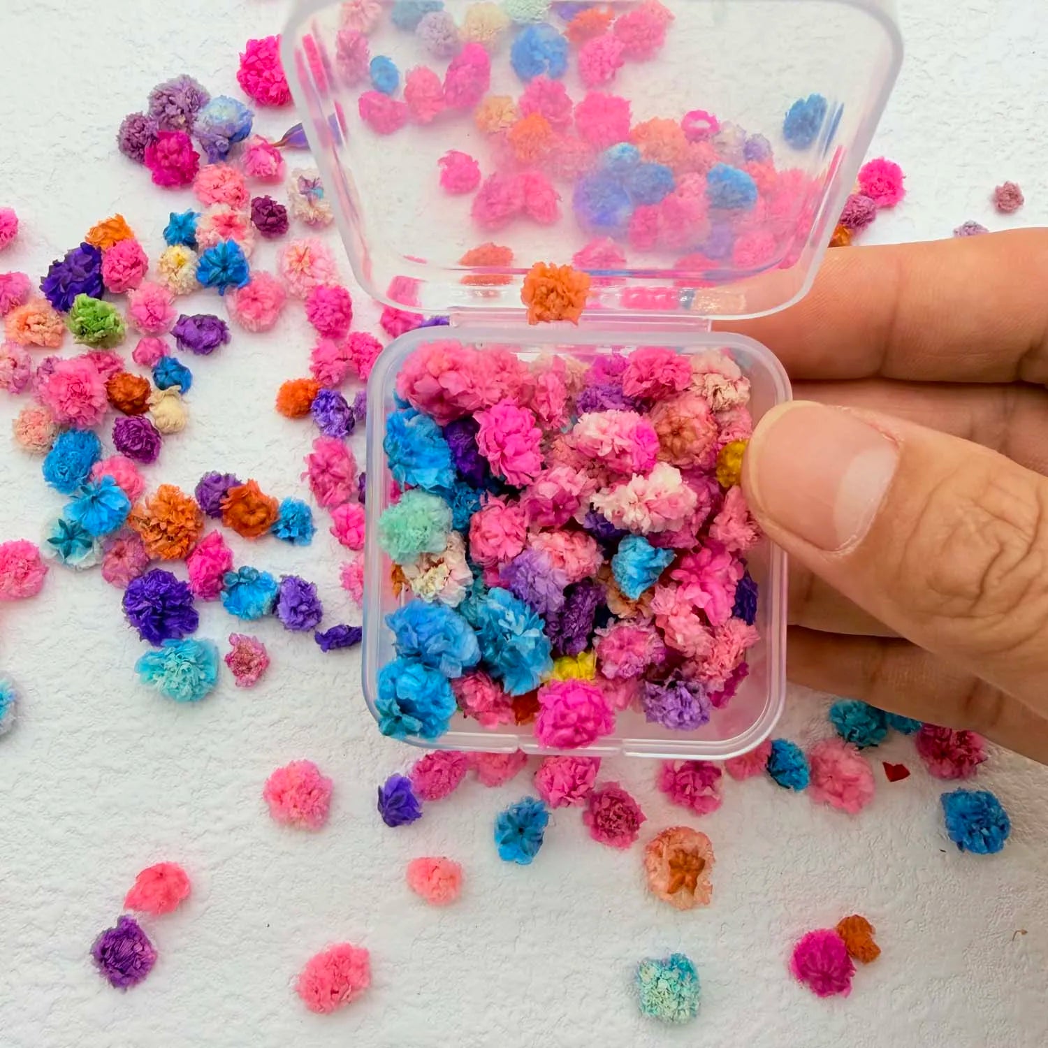 Colorful Daisy Flower Heads – DIY Resin, Candle & Jewelry Filler Craft Flower Filler Zpaxo colorful S
