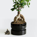 Copper Micro Landscape Ancient Chinese Statue Miniature Garden