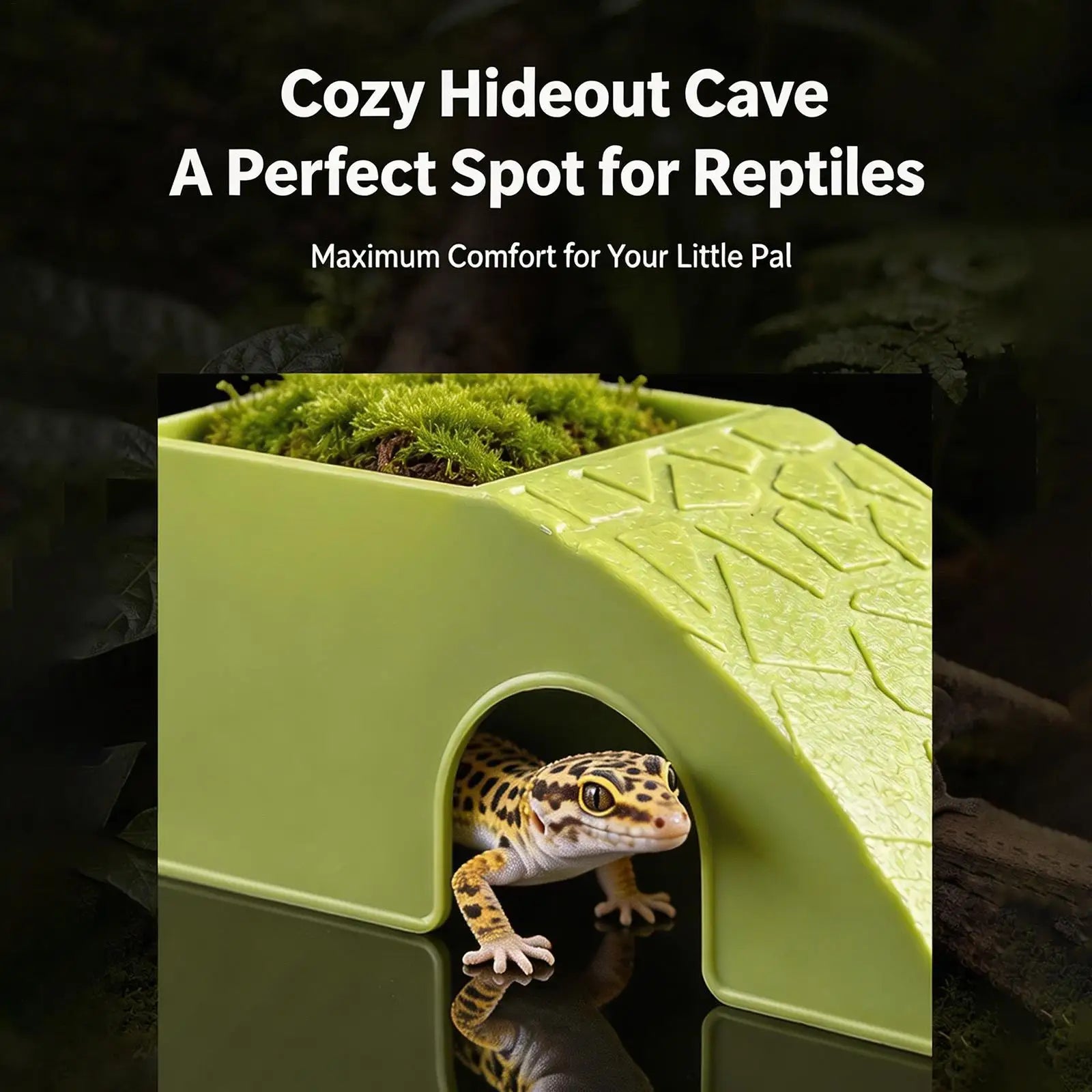 Reptile Cave Hide & Feeding Dish – Aquarium Hideout Ornament Reptile Cave Hideout Zpaxo