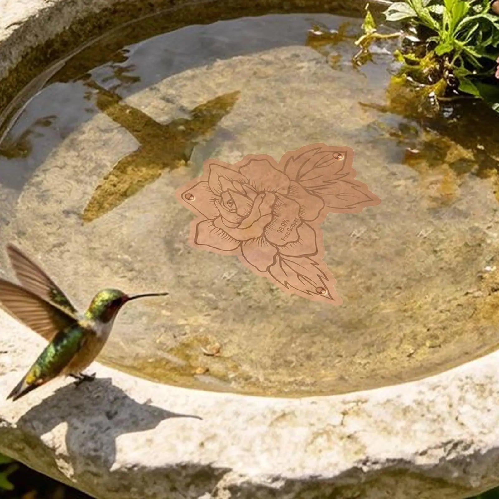 1PC Bird Bath Copper Birdbath Purifier With Triple-Point Support Bath Disk Ornaments Feeder Accessories For Outdoor Bird Baths Zpaxo