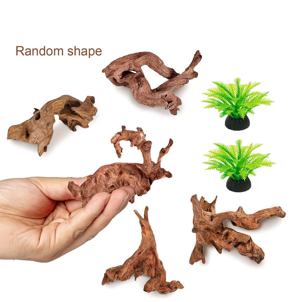 Natural Sinkable Driftwood 5–10cm | Aquarium & Reptile Decor Aquarium Driftwood Zpaxo