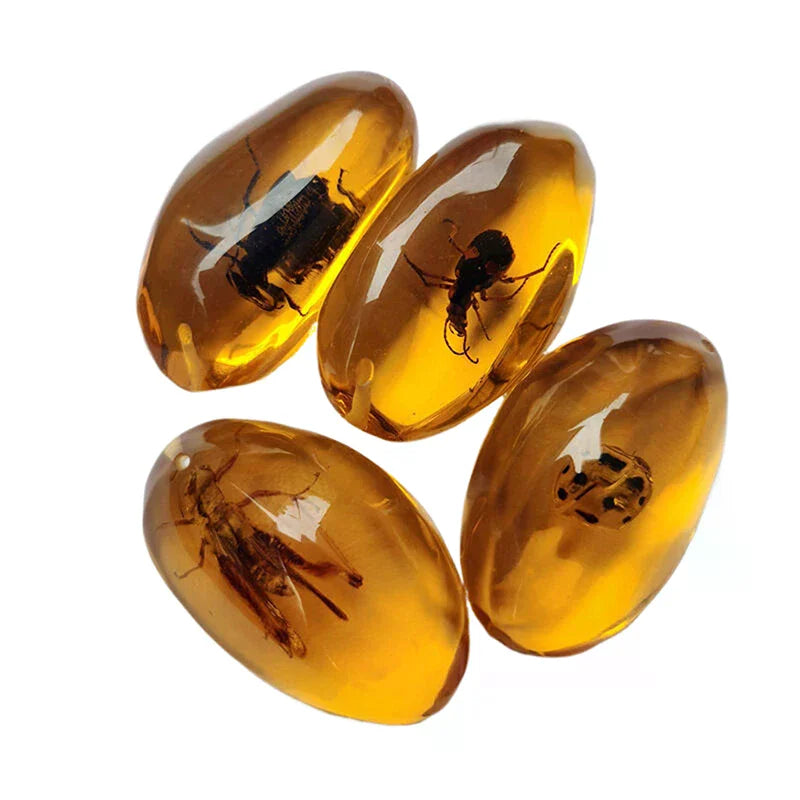 Mineral Stones Home Decor Insects Amber Gemstone DIY Hand Crafts Gift And Insects Amber Gemstone Scorpion Natural 1PC Zpaxo