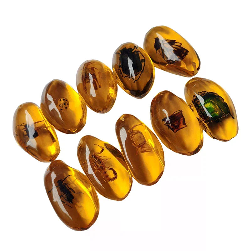 Mineral Stones Home Decor Insects Amber Gemstone DIY Hand Crafts Gift And Insects Amber Gemstone Scorpion Natural 1PC Zpaxo