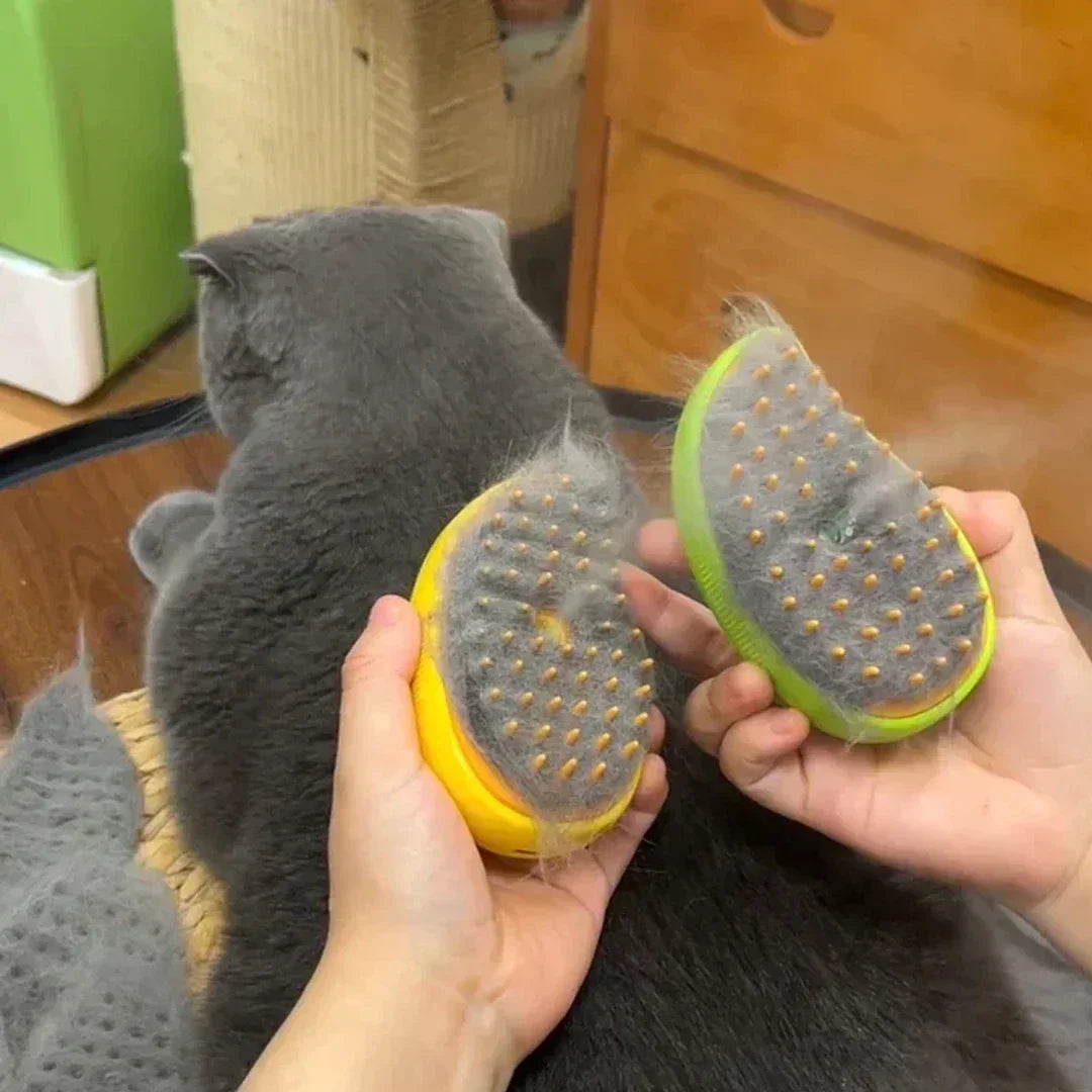 Shedding Combs 1Electric Steamy Brush Cat Dog Steam Electric Sprayer