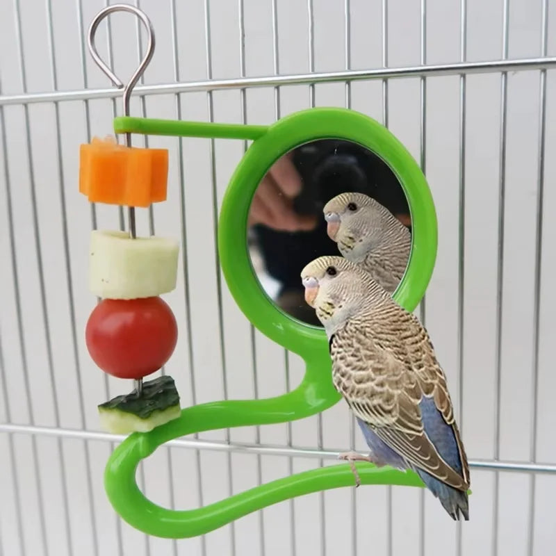 Bird Mirror Toy Plastic Perch Stand Parrot Metal Fruit Vegetable