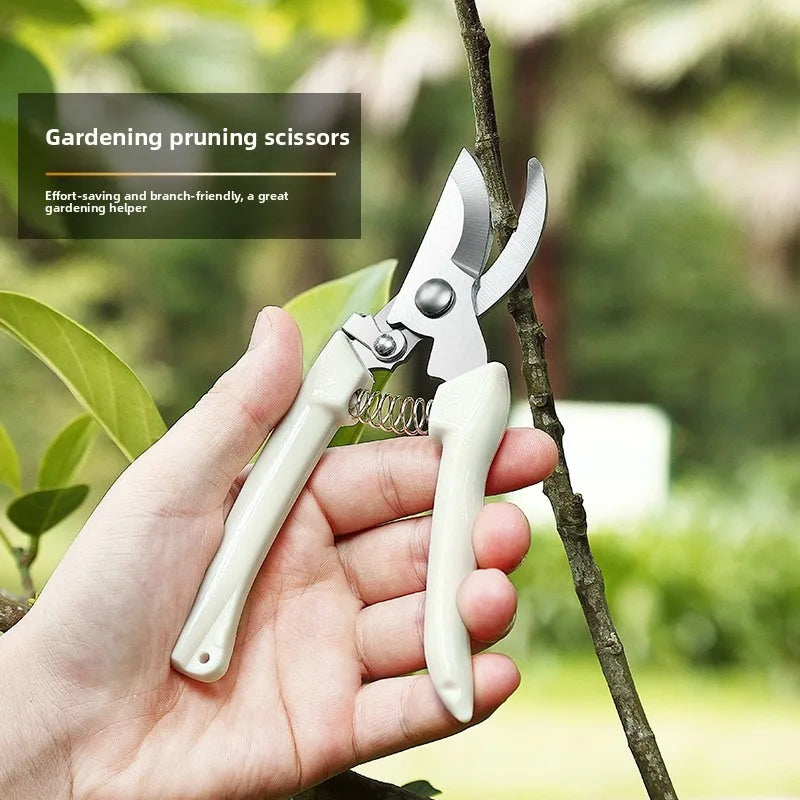 Pruning and pruning complete set of gardening straight end shears, garden elbows, garden fruit picking shears, spring hand tools Zpaxo