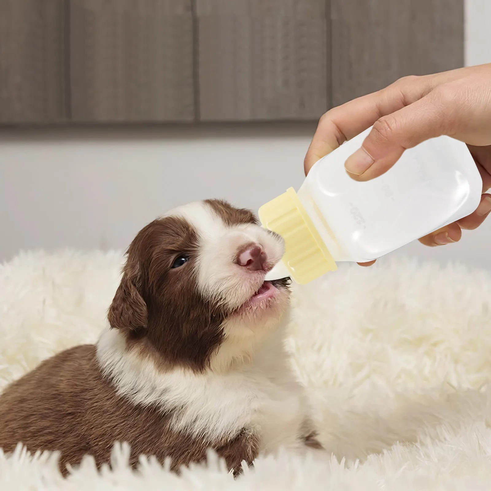 Pet Nursing Bottle Compact Soft Squeeze Feeding Puppies Kittens Small