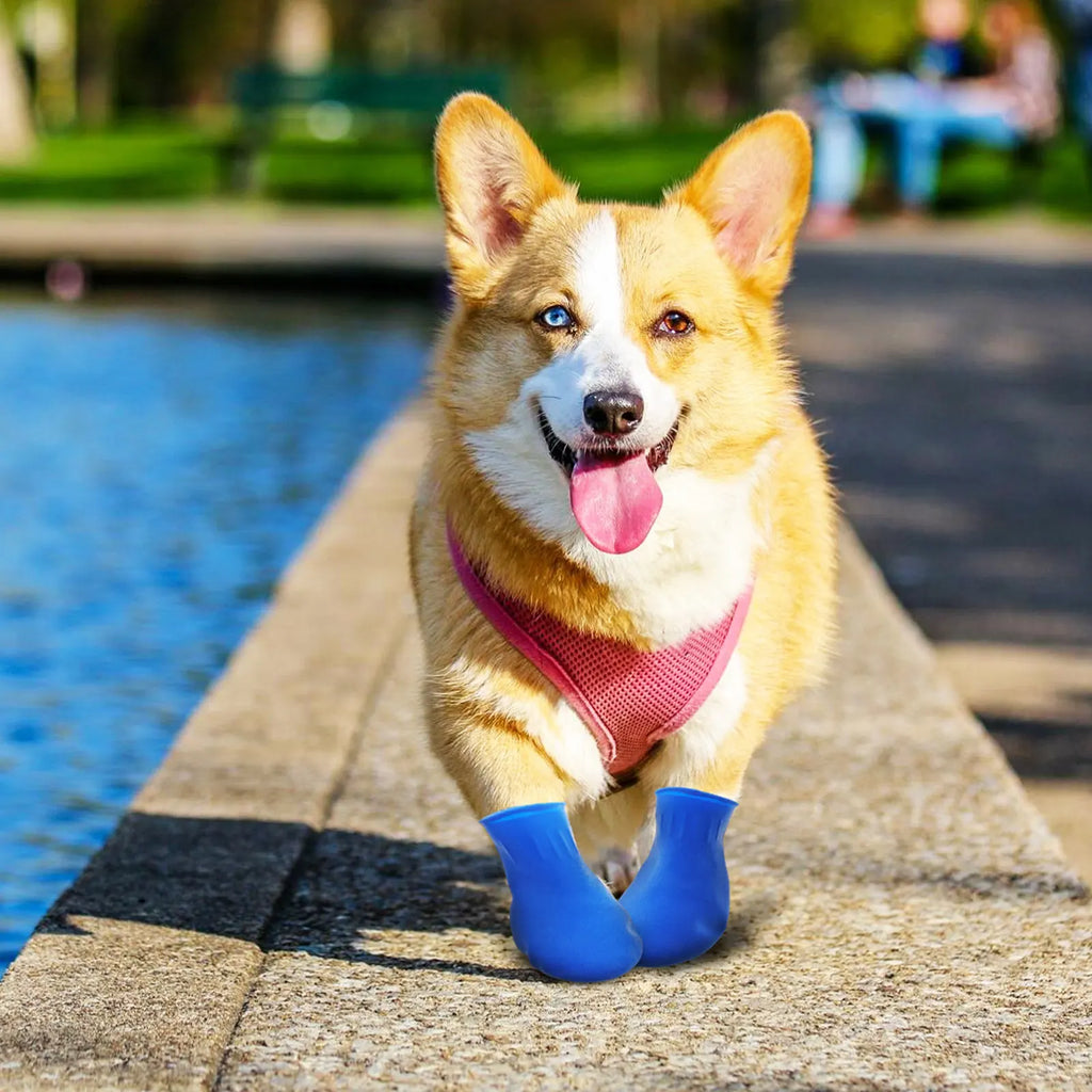 Dog Footwear Waterproof Non-slip Boots Small Dogs Outdoor Sports