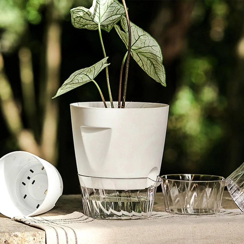 Self Watering Pots 5 Grow Box Nursery Water Level Indicator Indoor