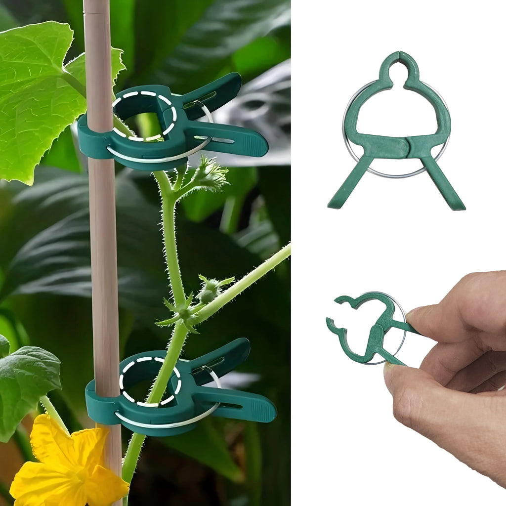 50 30 Adjustable Plant Clips Reusable Garden Support Flowers Vines Zpaxo green 50pcs