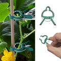 50 30 Adjustable Plant Clips Reusable Garden Support Flowers Vines Zpaxo green 50pcs
