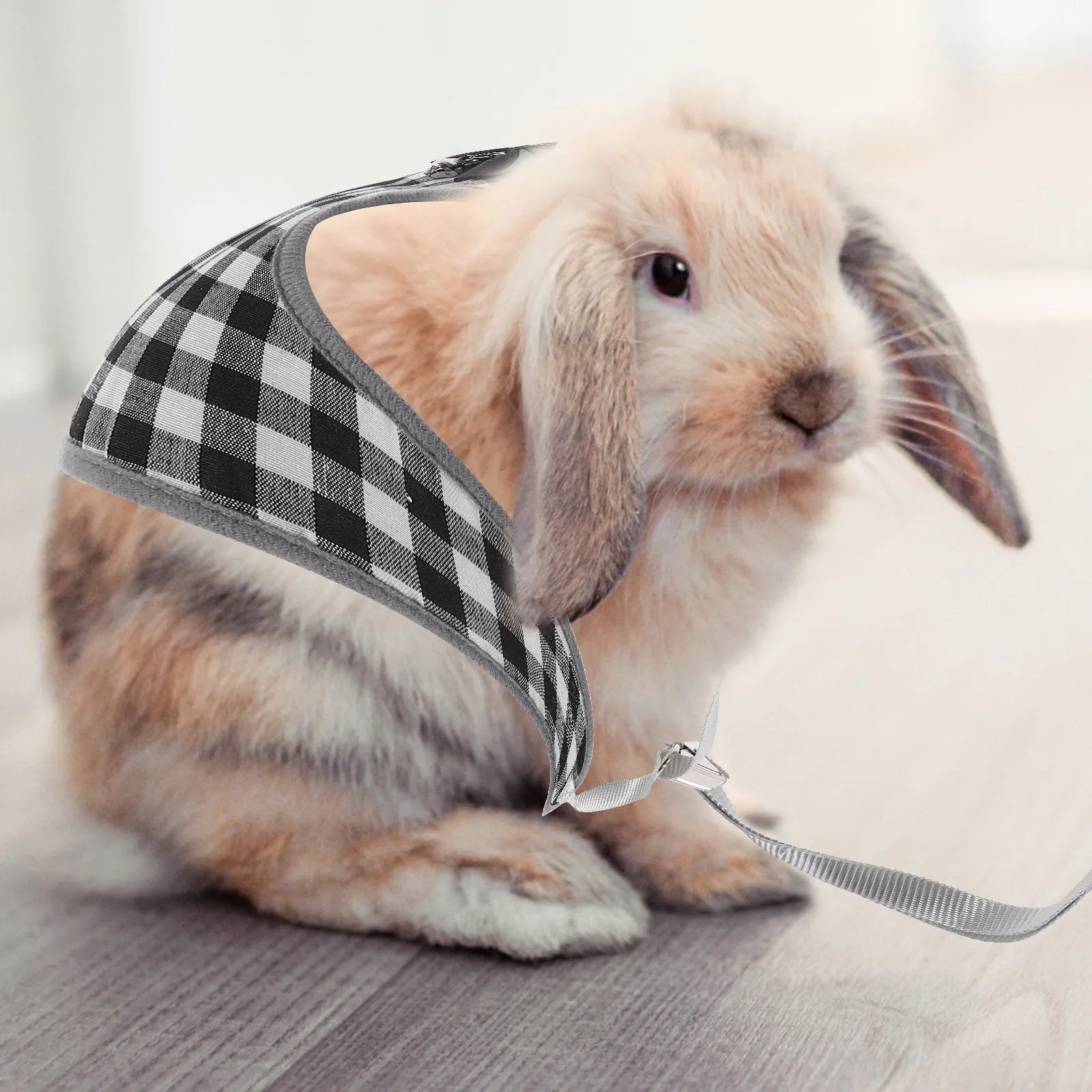 Rabbit Garment Leash Exquisitely Sewn Bunny Clothes Rope Lightweight
