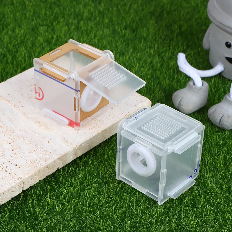 Ant Nest Glass Tube Mini Active Zone Insect House Acrylic Farm 15
