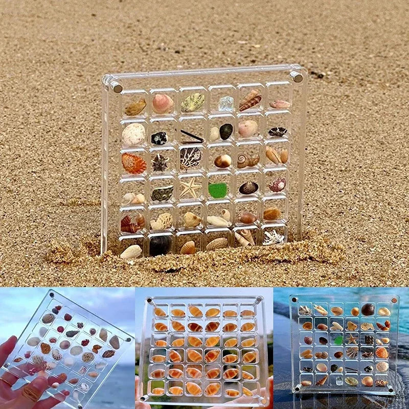 36 grids Acrylic Seashell Display Box with Magnets Durable Starfishs Trinket Storage Case for Bead Nail Jewelry Zpaxo