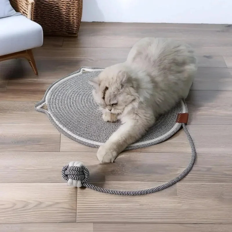 Cat Scratching Mat with Toy Ball – Soft All-Season Pet Bed