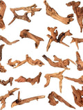 3/6PCS Natural Small Driftwood for Aquarium Decor Fish Tank Decorations Decor Assorted Driftwood Branch Reptile Tank Wood Decor Zpaxo 6PCS 5-10CM