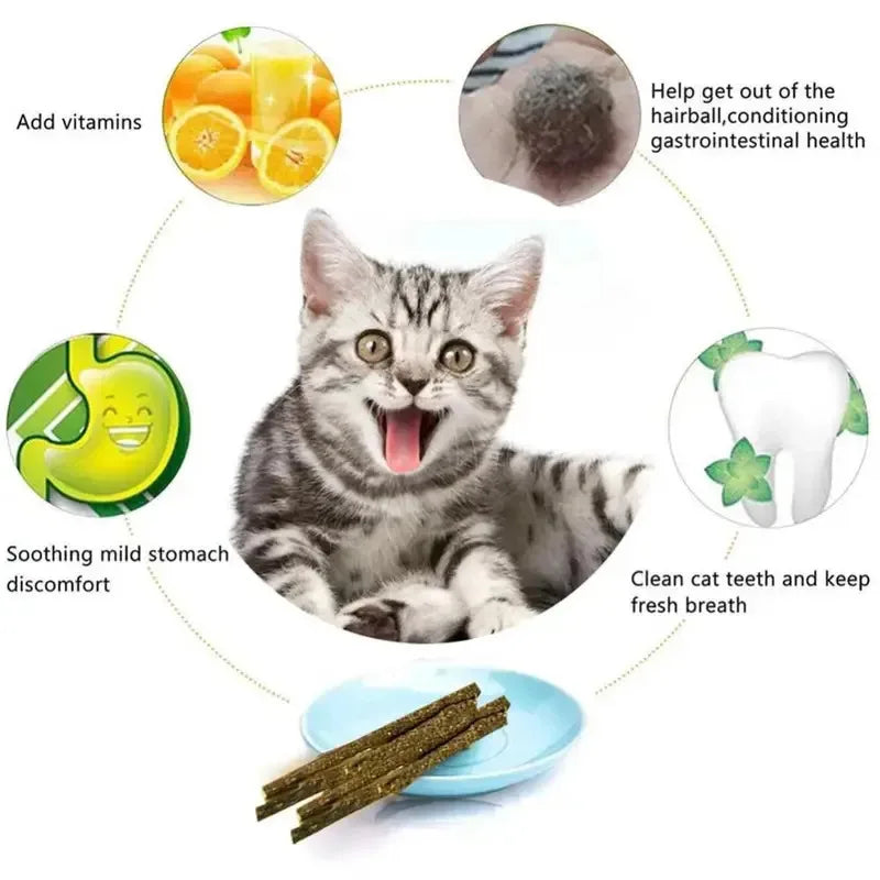 Natural Silvervine Matatabi Cat Chew Sticks – 6–24 Pack