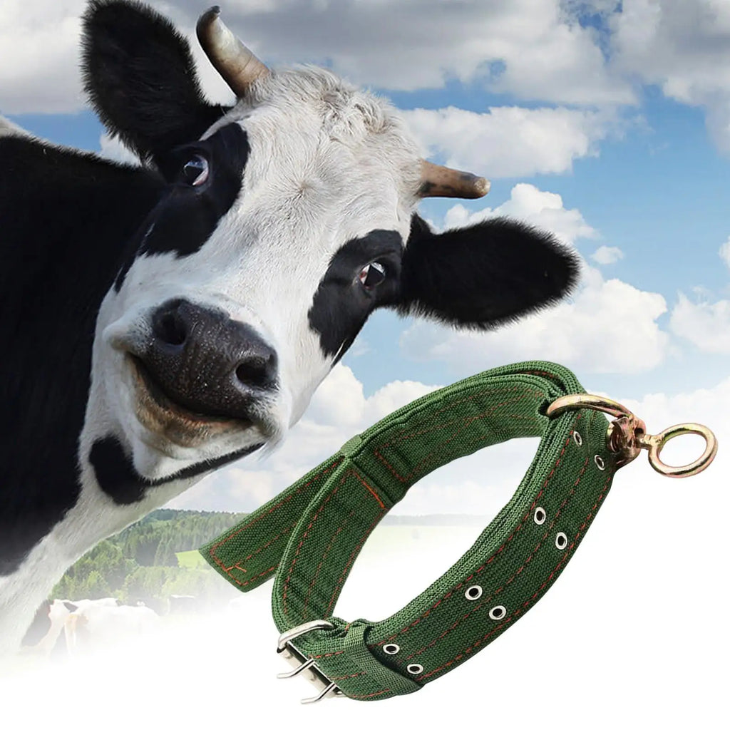 Sheep Collar Livestock Traction Necklace Abrasion-resistant Small