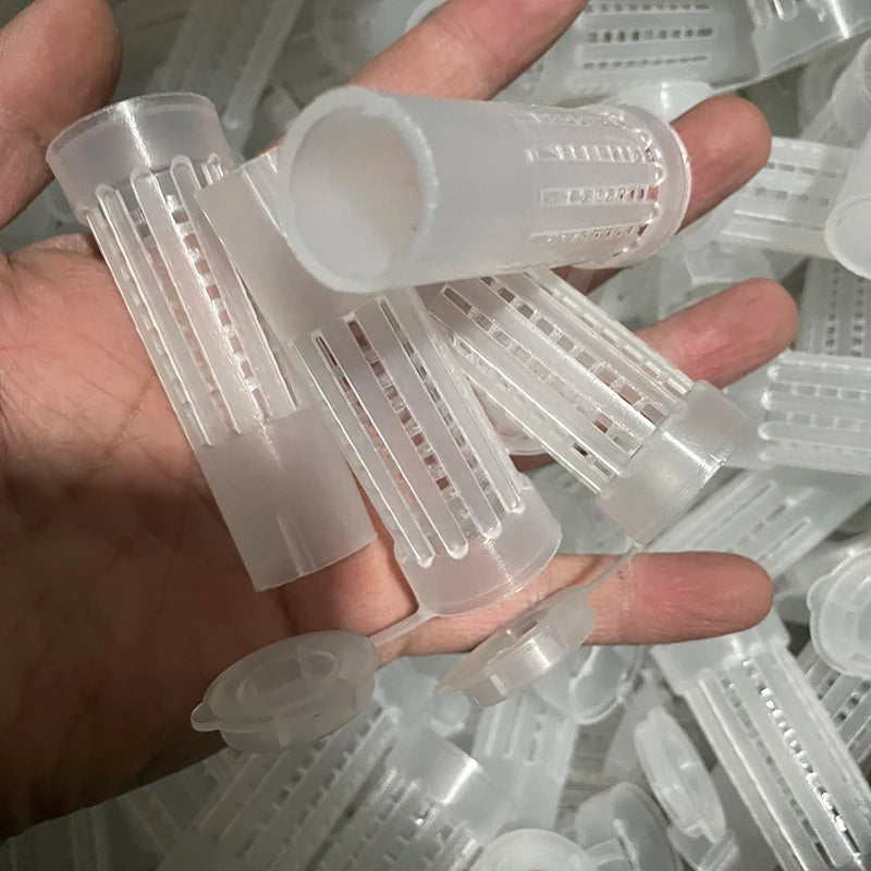 100 Bees Tools Cages King Queen Rearing Cupkit Only White