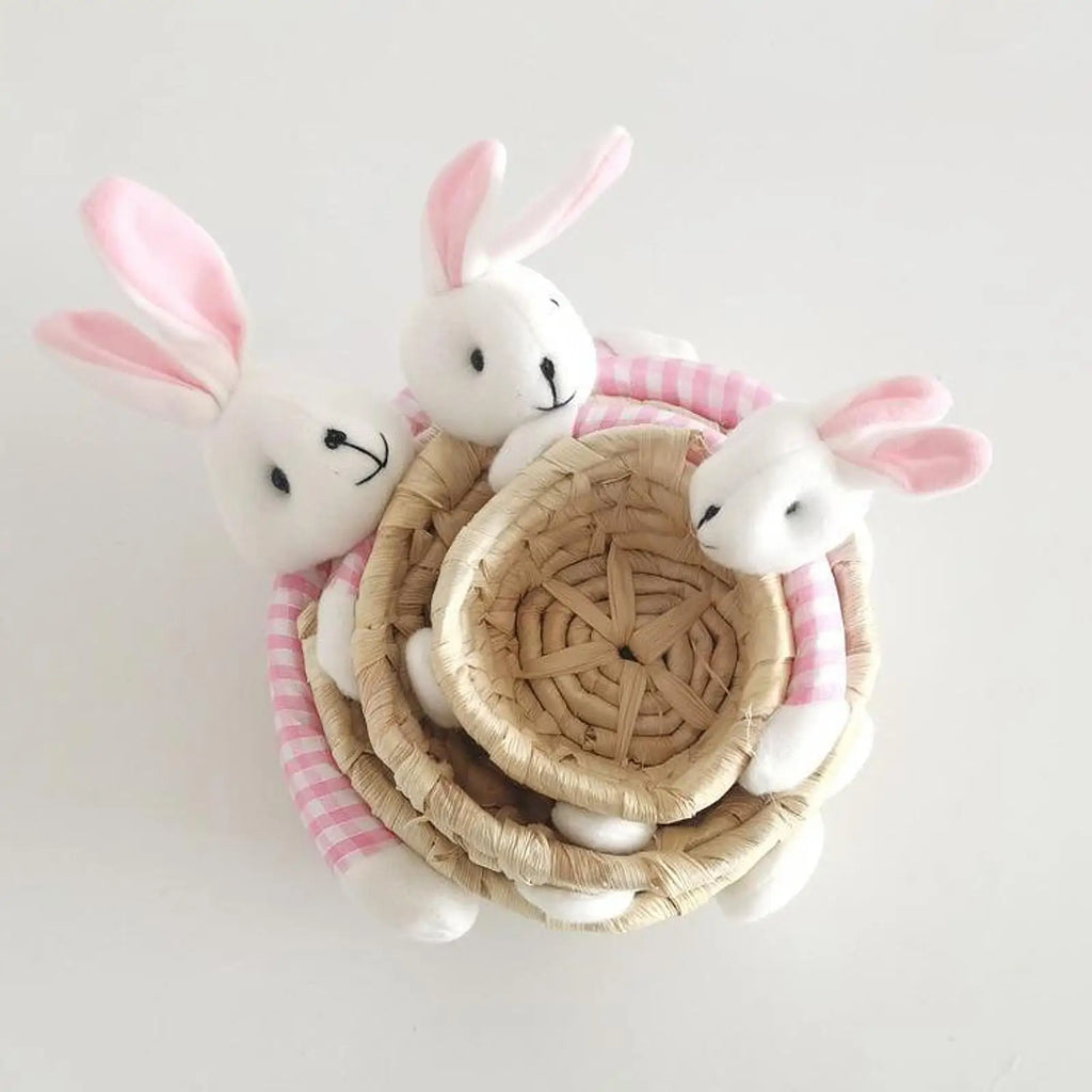 Miniature Easter Bunny Basket – Reusable Decorative Storage Easter Storage Basket Zpaxo