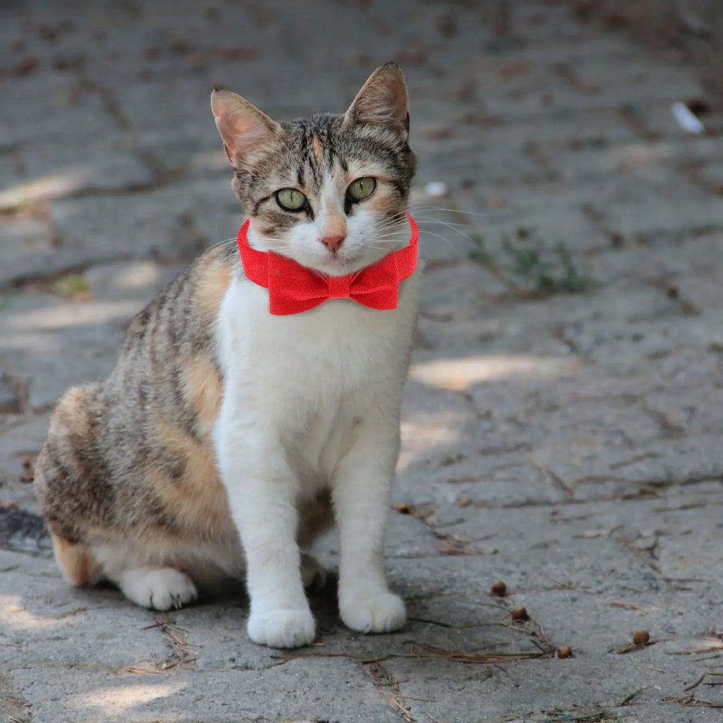 Breathable Pet Bow Tie Collar Cats Kittens Adjustable Decorative Dog