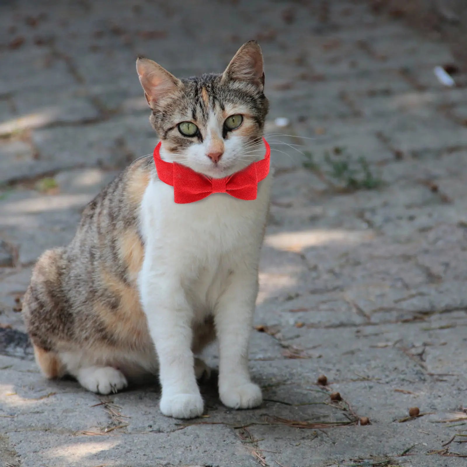Breathable Pet Bow Tie Collar Cats Kittens Adjustable Decorative Dog