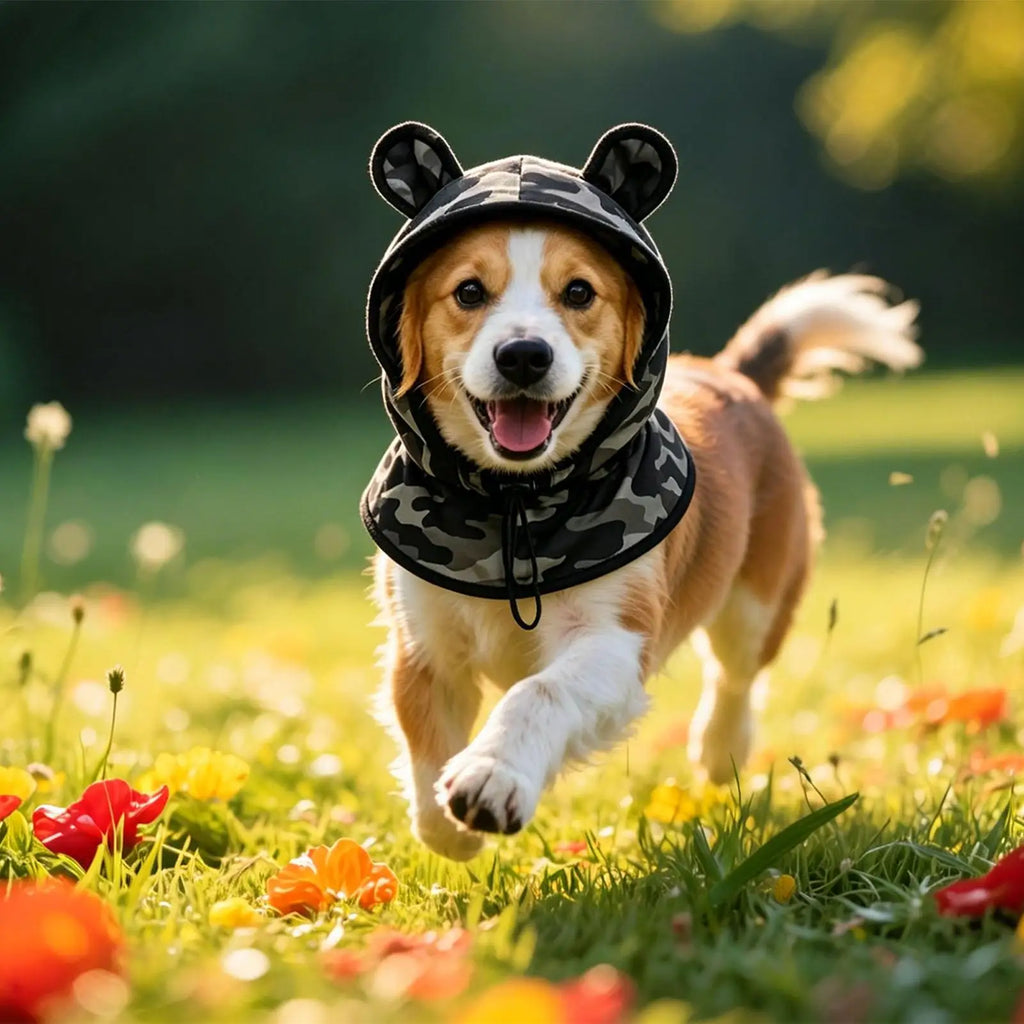 Dog Sun Hat – UV Protection Adjustable Bucket Hat for Pets Dog Sun Hat Zpaxo