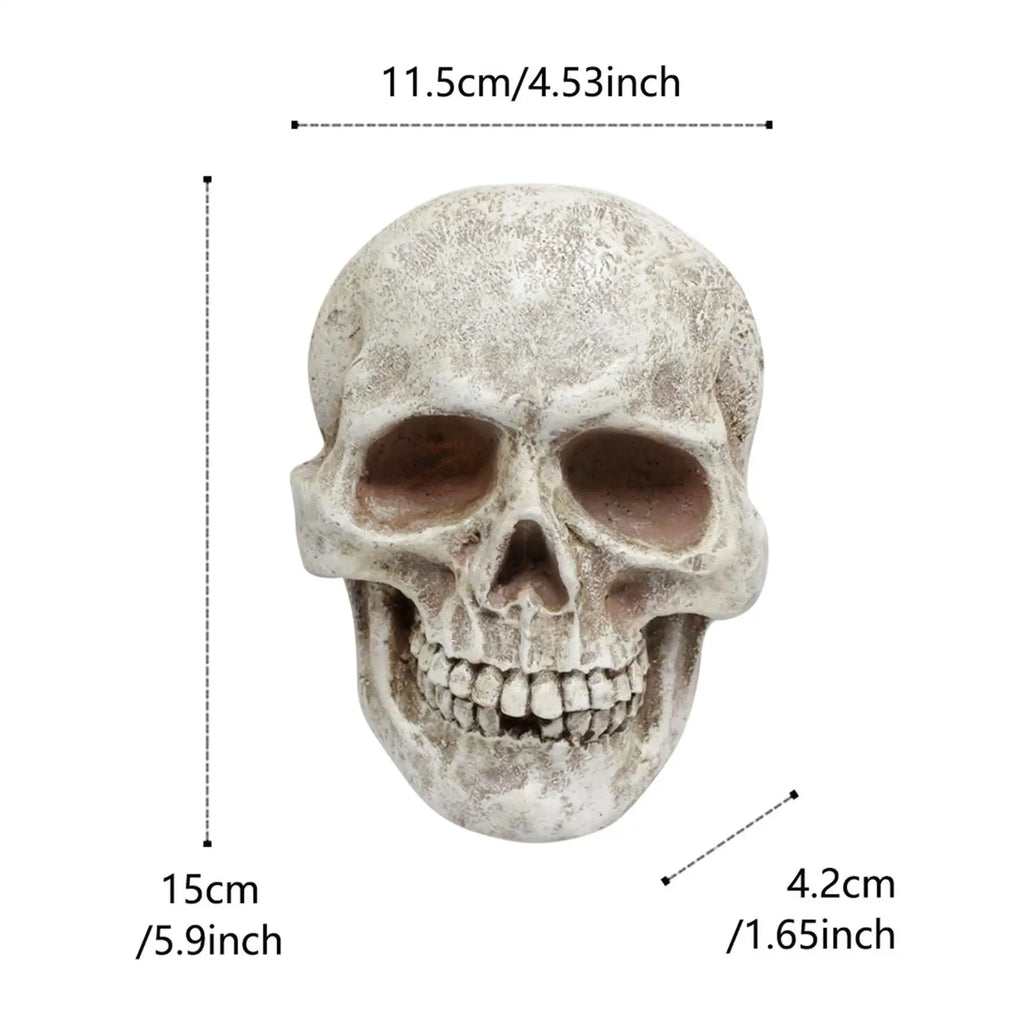 Halloween Skull Decor Resin Decorative Realistic Gothic Statue Human