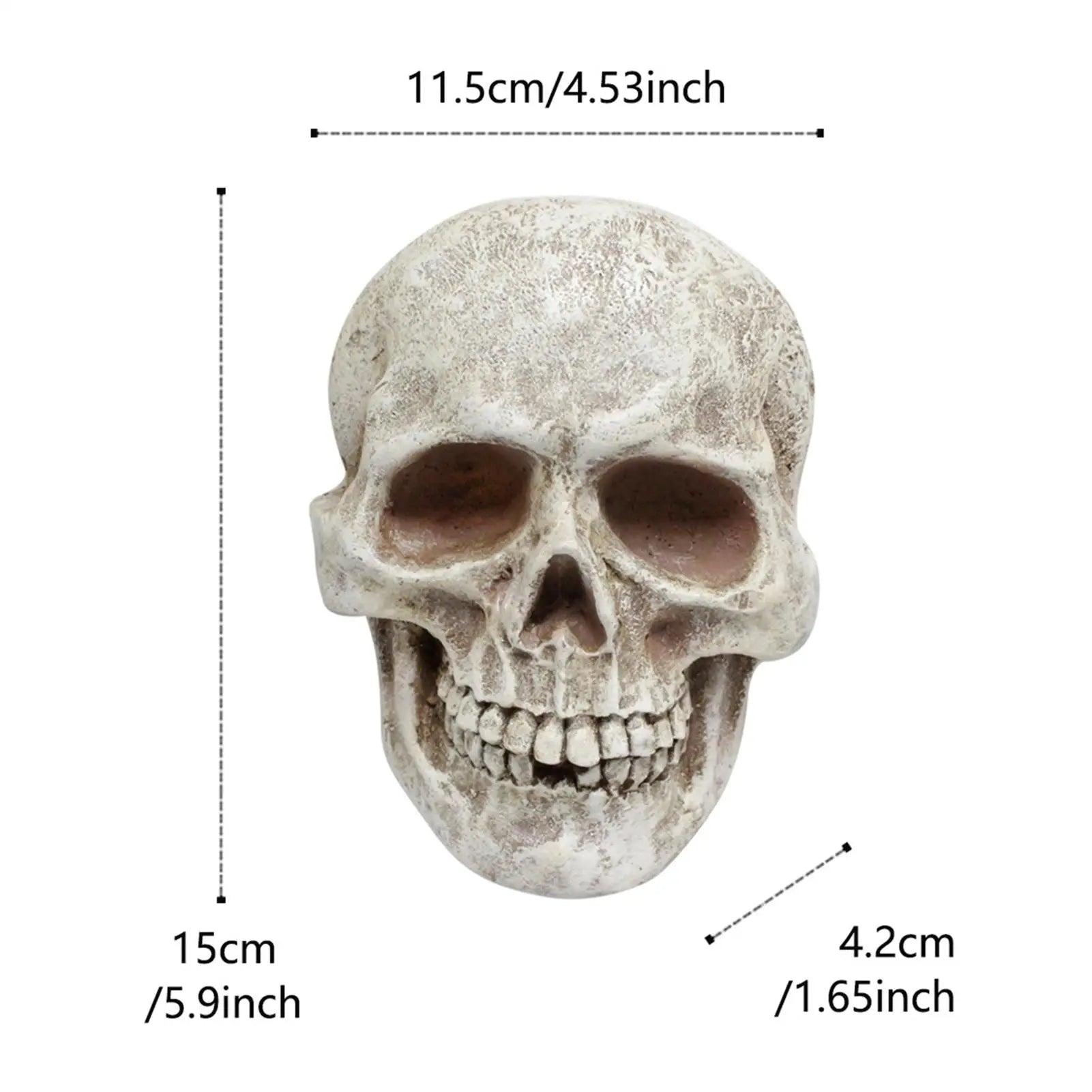 Halloween Skull Decor Resin Decorative Realistic Gothic Statue Human