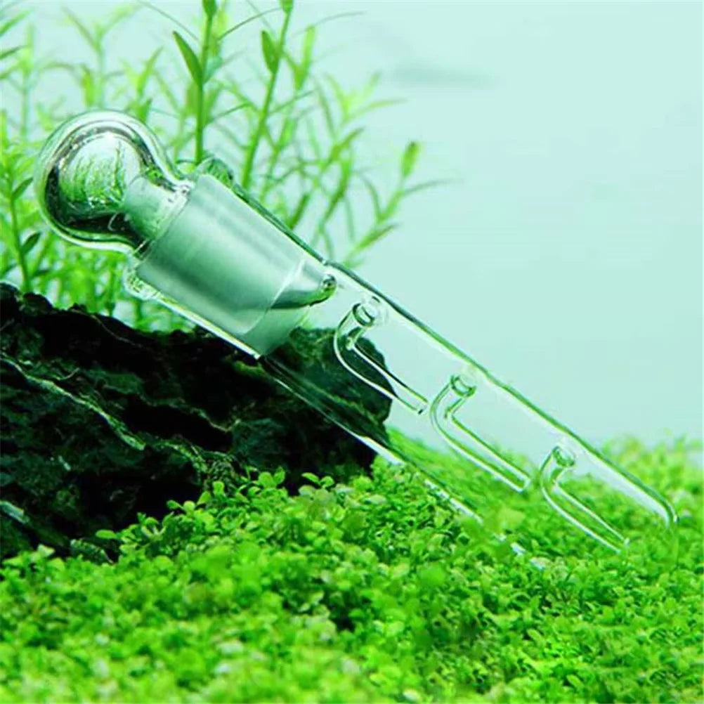 Glass Acrylic Snail Leech Vivarium Pest Catch Trap Shrimp Worm
