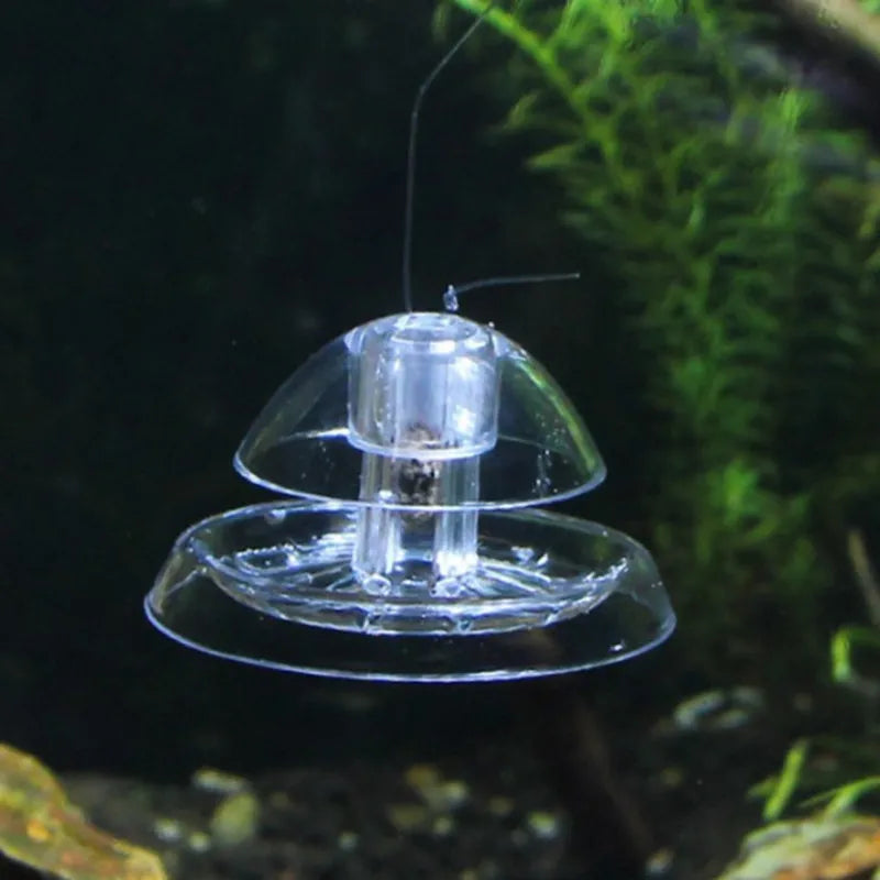 Fish Tank Aquarium Cleaner Snail Trap Catcher Plants Planaria Pest