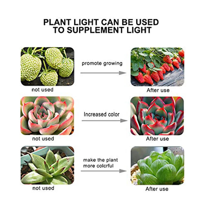 LED Grow Light Bulb E27 220V Full Spectrum 60/80LED Plant Lamp for Indoor Garden Seedling Greenhouse Hydroponics Grow Tent Zpaxo