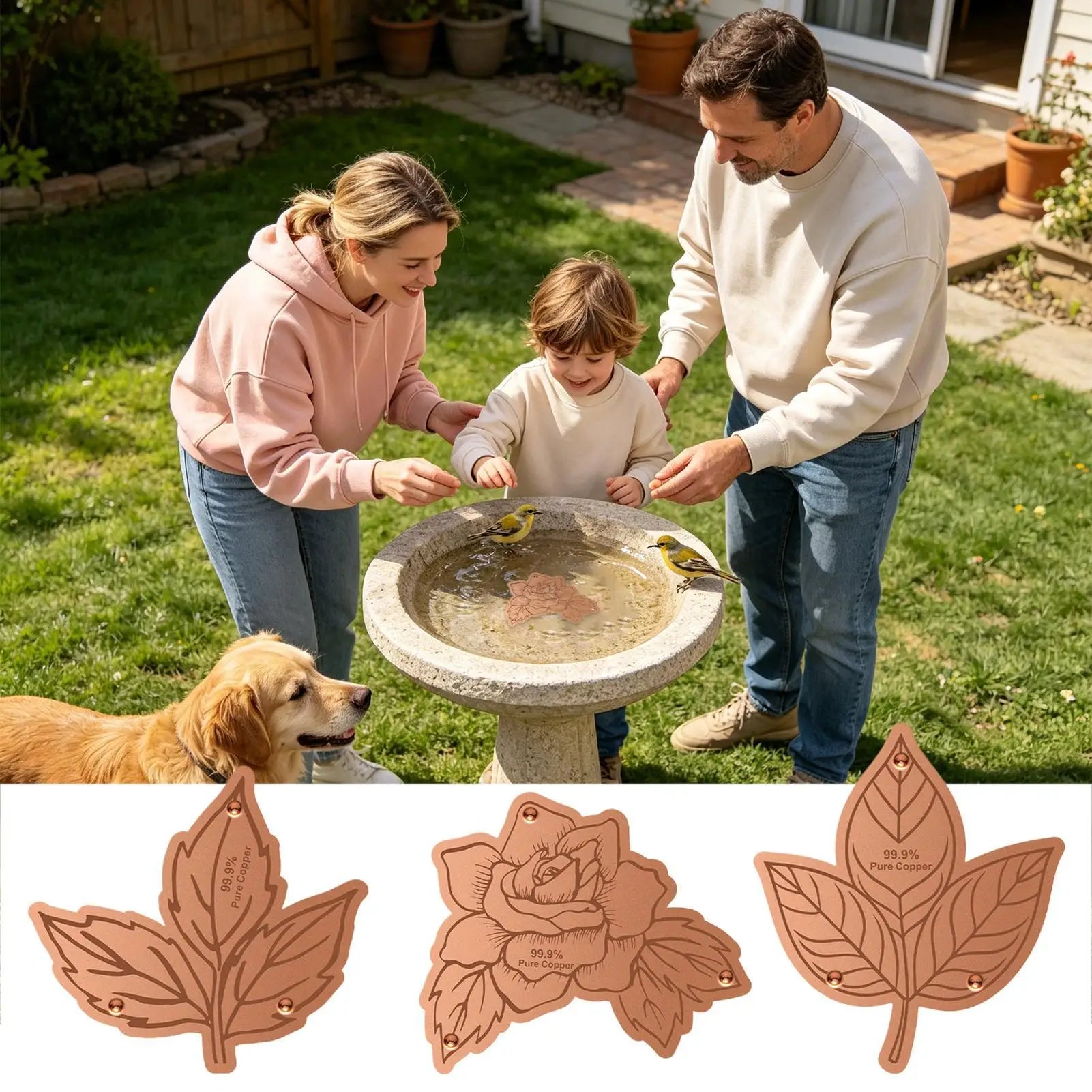 Copper Disk For Bird Bath Stable Triple-Point Support Purification Plate Copper Bird Bath Purification Disk For Outdoors Zpaxo