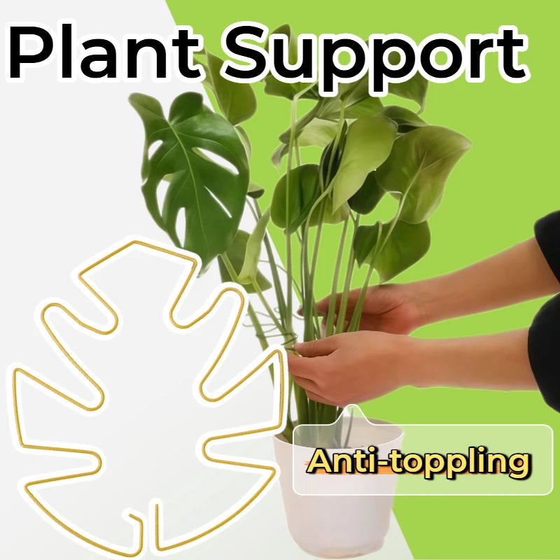 Monstera Metal Plant Stem Support Adjustable Flower Climbing Stem Holder Vine Branch Iron Hooks Stabilizer Garden Plant Trellis Zpaxo