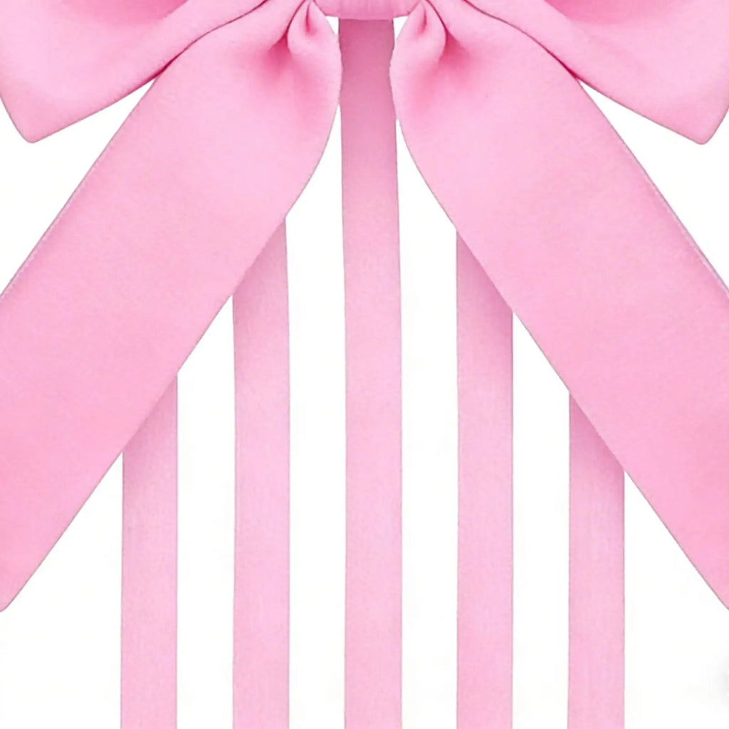 Claw Clip Organizer Bow Shape Hairpin Storage Rack Hair Accessories
