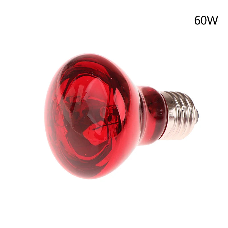 CME27 UVA Poultry Bulb Infrared Night Light Day Heating Plants Zpaxo 60W