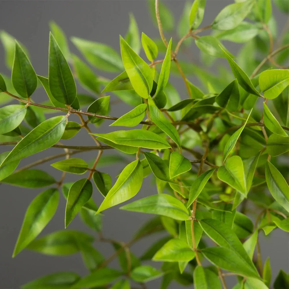 75-140cm Artificial Plants Nandina Tree Green Tall Plants Fake Leaves Plants Faux Branches for Home Garden Office Decor Zpaxo