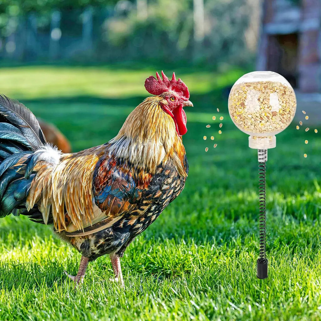 Chicken Enrichment Feeder Slow Release Dispenser Hanging Wobble